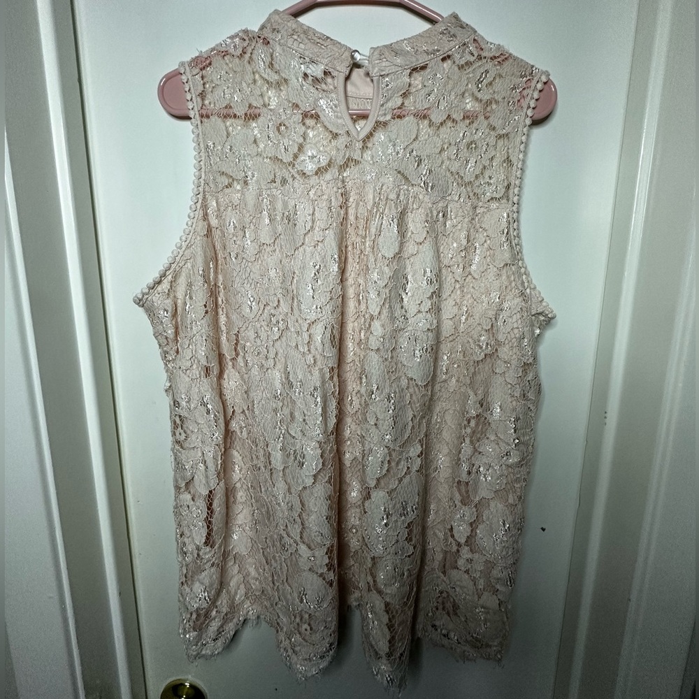This pink sleeveless shirt has no tag. I assume it’s about a size 1X